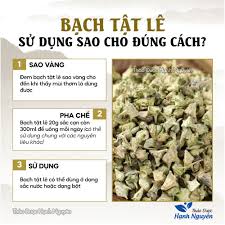 Trà Bạch Tật Lê (Đã Sao Thơm)_200gr-500gr