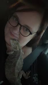 Adopted kitten settling in well