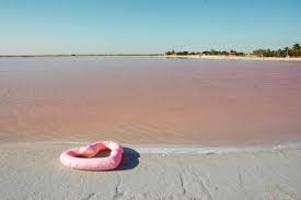 Pink lakes certainly aren't new. A Guide To Las Coloradas Pink Lakes Yucatan Mexico Every Steph