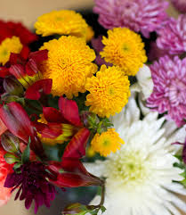 They shine in clear autumn light and the foliage looks even fresher. Best Value Cut Flowers Nanaimo Flower Delivery Turley S Florist