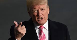 L'Amérique anti-Trump (médias, numérique, idées)