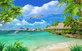 Poster duvar kağıdı 1 parçadan oluşmaktadır. 3d Duvar Kagitlari Deniz 3d Duvar Kagitlari 3 Boyutlu Duvar Kagitlari Turkiye