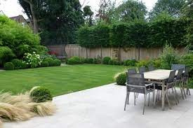Top 10 plants for patios. Best Screening Plants 20 Plants To Protect Your Privacy Outdoors