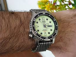 Citizen NY0040-09W Luminous Dial Diver - You may not know you want ...