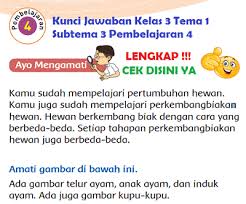 Lengkap Kunci Jawaban Kelas 3 Tema 1 Subtema 3 Pembelajaran 4 Kunci Jawaban Tematik Lengkap Terbaru Simplenews