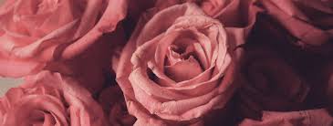 Wilma rudolph ir ideāla vieta, lai iepazītu klārksville (tn) fascinējošās kultūras apskates vietas. Valentine S Day In Clarksville Tn