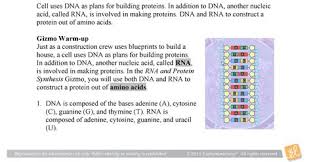 Rna and protein synthesis answer key vocabulary: Enzyme Gizmo Enzyme Gizmo Worksheet 1 Pdf Name Block Date Enzyme Student Exploration Building Dna Gizmo Answers Key Pdf