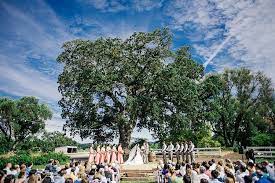14 Picturesque Central Coast Wedding Venues See Prices Central Coast Wedding Venues California Wedding Venues Wedding Southern California
