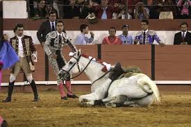 El famoso torero joão moura jr, publicó estas imágenes de varios pitbull atacando a un toro en su finca. Saiba Mais Joao Moura Jr