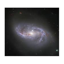 Hubble captura de relance as numerosas estruturas em forma de braço que varrem essa galáxia espiral barrada, conhecida como ngc 2608. Ngc 2608 Galaxy Esa One Amongst Millions