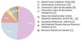 Image result for Warneckea sousae
