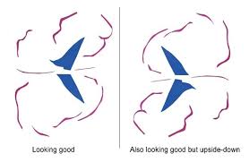 In 1961 Henri Matisse S Painting Le Bateau Was Hung Upside Down For 46 Days At The Museum Of Modern Art In New Painting Museum Of Modern Art Painting Services