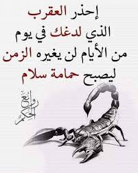 Once A Scorpion Always A Scorpion نصحتك لم تنتصح و الطبع فيك غالب ديل الكلب لم يتعدل لو علقوا فيه قالب Words Quotes Ex Quotes Beautiful Quotes