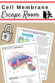 Cell Membrane Activity Cell Transport Worksheets Escape Room Cell Transport Cell Membrane Activity Cell Membrane