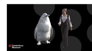 Giant inflatable penguin giant animal cartoon model inflatable penguin balloon for advertising. Discovery Of Giant Penguin Suggests New Zealand And Antarctica Used To Be Very Different Science Tech News Sky News