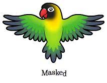 Logo lovebird images stock photos vectors shutterstock. 24 Gambar Burung Lovebird Kartun Keren Gambar Keren Coy