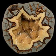 No 34310 Calcite Var Septarian Nodule From South Dakota In Online Mineral Mu Minerals Gems And Minerals Rocks And Gems