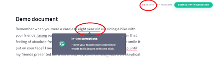 Take advantage of the best. Free Grammar And Punctuation Checker And Corrector Tools