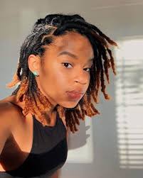 Zimbabwe Notice Board