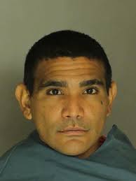 Photos: Operation Lint Trap