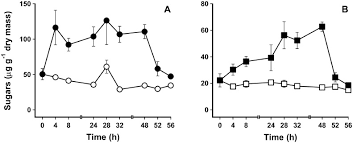 Image result for Loxogramme abyssinica