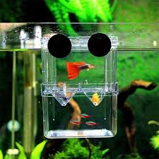 1 79 Gbp Aquarium Fish Tank Guppy Double Breeding Breeder Rearing Trap Box Hatchery Pet Ebay Home Garde Fish Breeding Aquarium Fish Aquarium Accessories