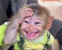 Fans with inconsistent praise and criticism