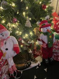 My favorite present for the last 15...