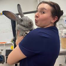 It's Small Mammal Monday! Rabbit owners, do you know how often you should  be trimming your rabbit's nails? Unless your rabbit has a lot of access to  activities like digging, most rabbits