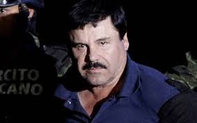 El Chapo joaquin Guzmán loera estrella narcoseries pablo escolar