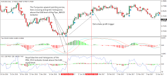 daily chart macd forex trading strategy