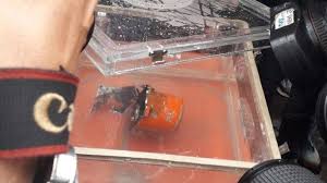 Alat ini ditemukan oleh dr. Apa Itu Black Box Penyebab Pesawat Sriwijaya Air Sj 182 Jatuh Dapat Diakses Lokasi Sudah Diketahui Surya