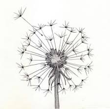 The drawing of a hedgehog in profile with all its quills in a cute way can be a great way to educate the young ones about nature and the various creatures that flourish in it. Simple Easy Drawings To Draw Happyshappy India S Best Ideas Products Horoscopes