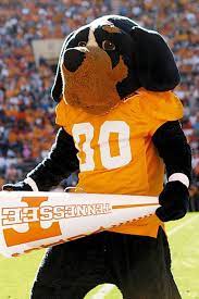 Maybe you would like to learn more about one of these? Pin By Unisunn 144 College Football B On University Of Tennessee Volunteers Tennessee Mascot Tennessee Volunteers Mascot Tennessee Volunteers Football