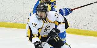 Final-day results and postseason honors for SDAHA varsity boys hockey