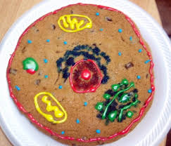 Check spelling or type a new query. Cookie Cake Plant Cell Shefalitayal