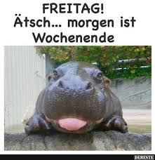 Freitag Atsch Morgen Ist Wochenende Lustige Bilder Spruche Witze Echt Lustig Freitag Lustig Freitag Bilder Lustig Wochenende Lustig