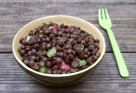 Salade De Lentilles Au Magret Seche Et Verjus Du Perigord Recette Salade De Lentilles Salade Magret Seche