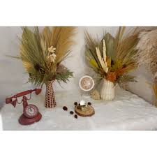 We did not find results for: Harga Daun Palem Kering Dekorasi Rumah Terbaru Agustus 2021 Biggo Indonesia