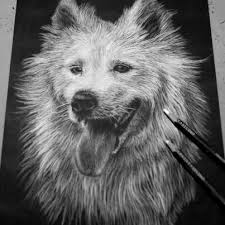 Black And White Drawing Images Of Animals Glass Drawing On Black Paper With Color Pencil Google Search Black Paper Drawing White Pencil Black Paper