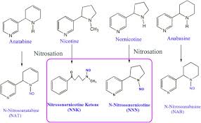New camel snus advertisement launched. Grass Roots Approach To Control Levels Of Carcinogenic Nitrosamines Nnn And Nnk In Smokeless Tobacco Products Sciencedirect
