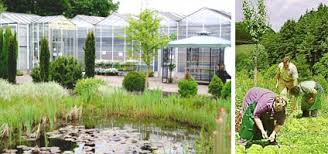 Startseite Bio Garten Flechtdorf Gmbh