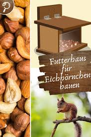 Eichhornchen Futterhaus Selber Bauen Diy Eichhornchen Futterhaus Futterhaus Eichhornchenhaus