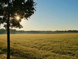 L'impaginazione è una libera scelta artistica! Fac Simile Lettera Per Diritto Di Prelazione Terreni Agricoli