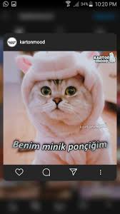 Birsiyahhikayesi Adli Kullanicinin Mood Luk Panosundaki Pin 2020 Komik Tumblr Komik Seyler Komik Capsler