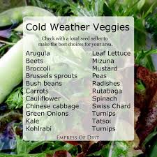 There are actually a number of vegetables that can grow without sunlight, usually in what is called partial shade or full shade. Growing Vegetables Indoors During The Winter Months