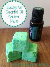 Eucalyptus Essential Oil Shower Melts This Roller Coaster Called Life Essential Oil Recipes Diy Essential Oils Shower Oil