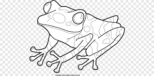 Check spelling or type a new query. The Frog And Toad Coloring Book Frog And Toad Are Friends Bear Coloring Pages For Preschoolers Emotions Png Pngegg