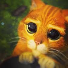 15 Cats Acting Out Their Favorite Movies Chat Potte Shrek Animales