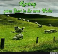 Montag Guten Start In Die Neue Woche Lustige Bilder Spruche Witze Echt Lustig